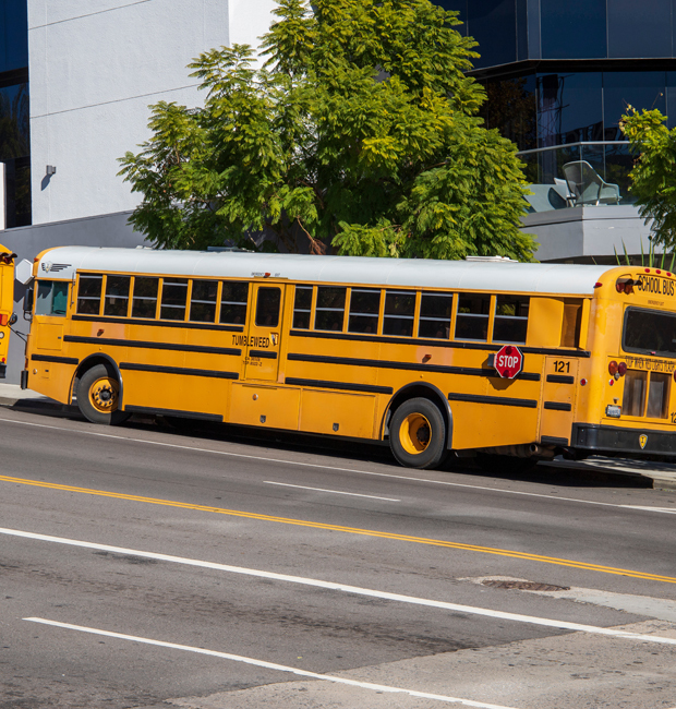 Photo of Los Angeles school buses.