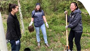 Three Terraphase female employees, one with a shovel, planting a tree.