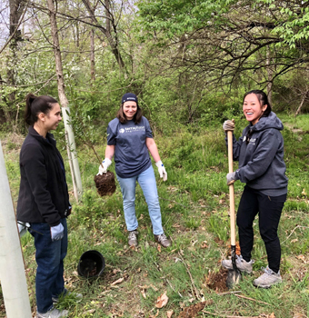 Three Terraphase female employees, one with a shovel, planting a tree.