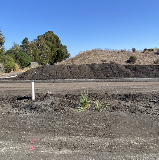 San Leandro Resilience Project