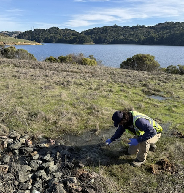 Terraphase staffperson collecting a sample from a stream leading to a reservoir.