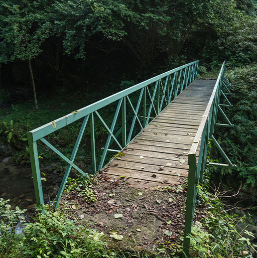 San Leandro Creek Pedestrian Bridge Debris Removal CEQA Notice of Exemption