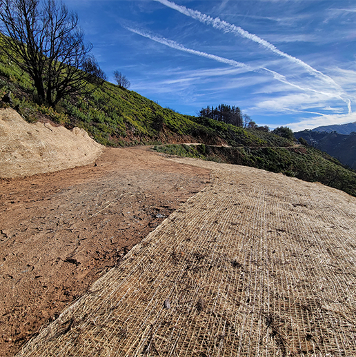 Northern California Wildfire Response