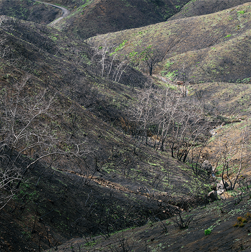 Woolsey Post-Fire Site Investigation and Risk Assessment