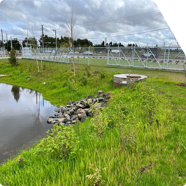 Pond next to grass and fence at industrial facility with stormwater best management practice controls.