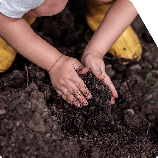 Hands of a small child playing with soil